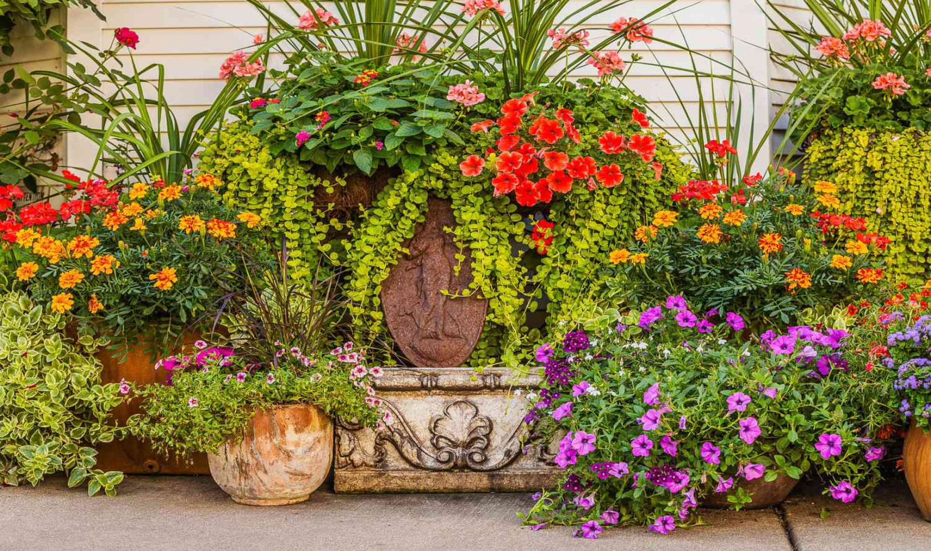 Container Gardening Ideas for the Midwest Container Gardening Ideas for the Midwest