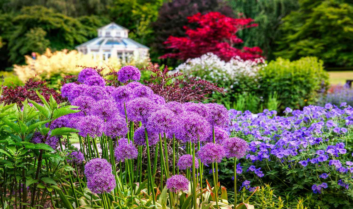 Deer-Resistant Plants for Your Garden, According to Experts Deer-Resistant Plants for Your Garden, According to Experts