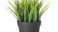 FEJKA Artificial potted plant - indoor/outdoor grass ½ "